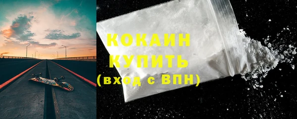 гашик Верея