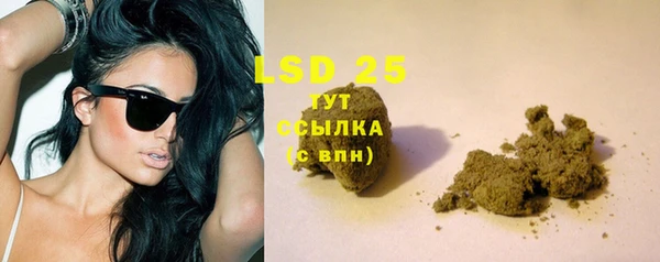 гашик Верея