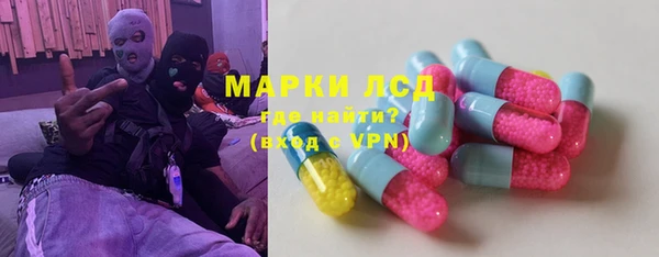 гашик Верея