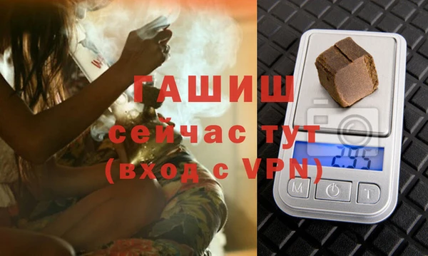 гашик Верея