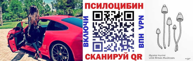 Купить Короча Галлюциногенные грибы MAGIC MUSHROOMS